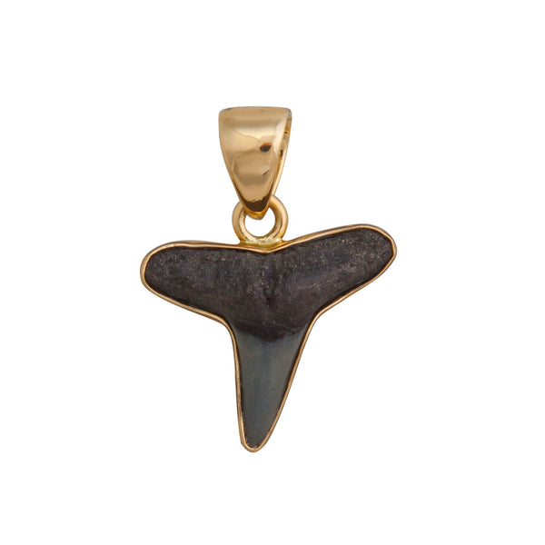 charles albert Alchemia Mini Fossil Shark Tooth Pendant Alchemia Pendants