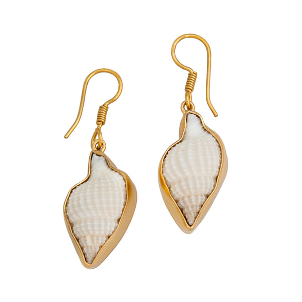 charles albert Alchemia Nassa Clothrata Shell Earrings Alchemia Earrings