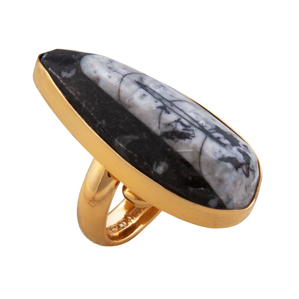Charles Albert Alchemia Orthoceras Adjustable Ring Alchemia Rings