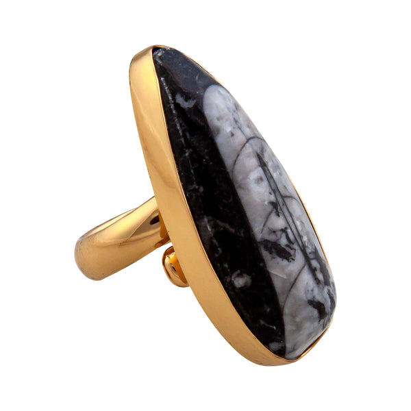 Charles Albert Alchemia Orthoceras Adjustable Ring Alchemia Rings
