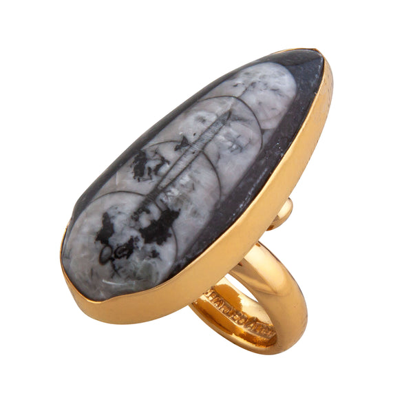charles albert Alchemia Orthoceras Adjustable Ring Alchemia Rings