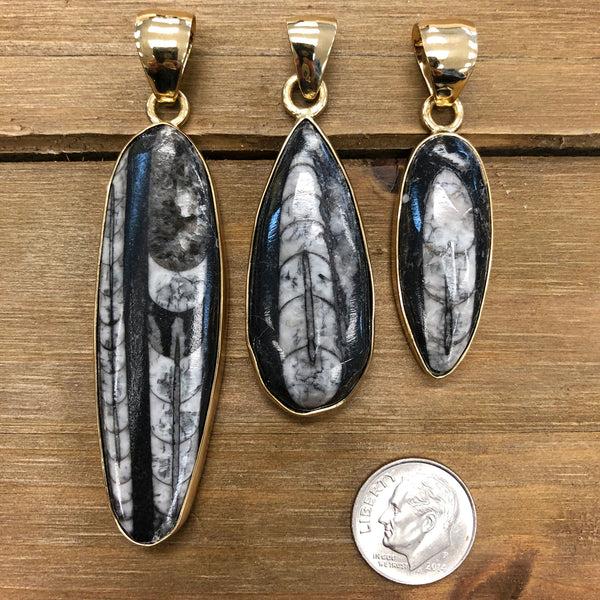 Charles Albert Alchemia Orthoceras Pendant Alchemia Pendants