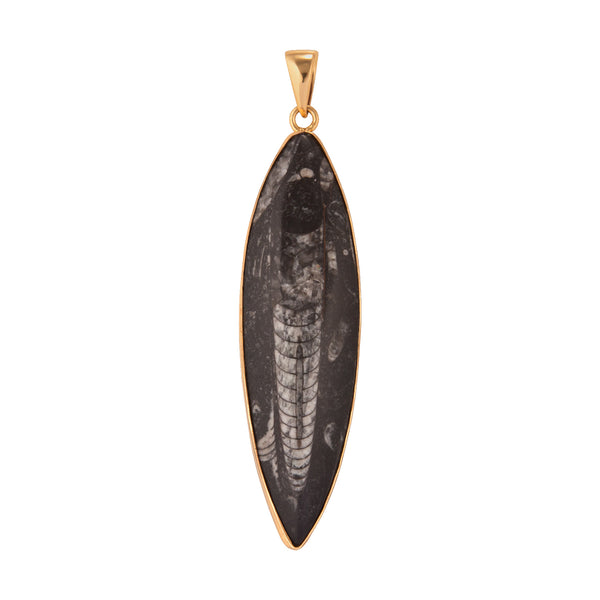 Charles Albert Alchemia Orthoceras Pendant Alchemia Pendants