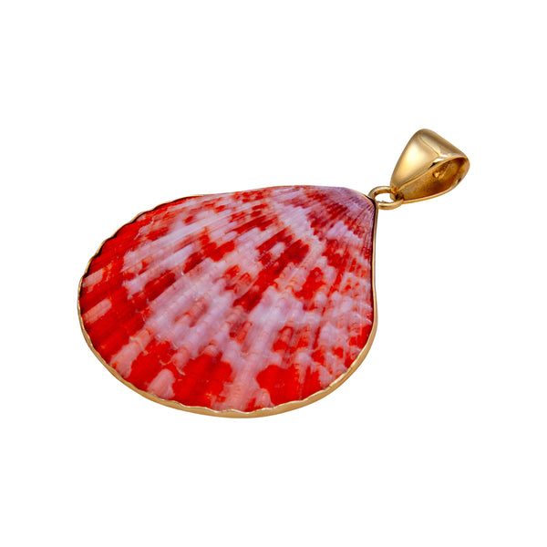 Charles Albert Alchemia Pectin Shell Pendant Alchemia Pendants