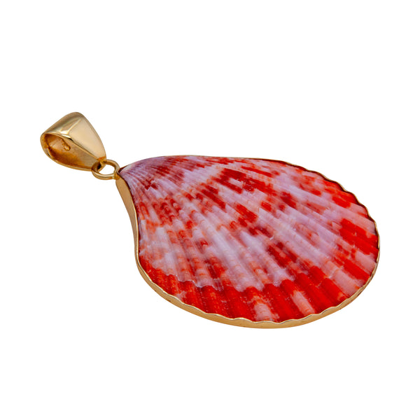 Charles Albert Alchemia Pectin Shell Pendant Alchemia Pendants