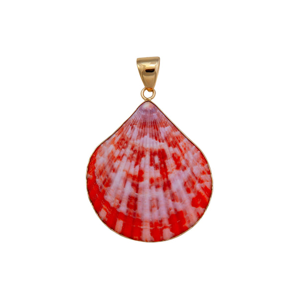 charles albert Alchemia Pectin Shell Pendant Alchemia Pendants