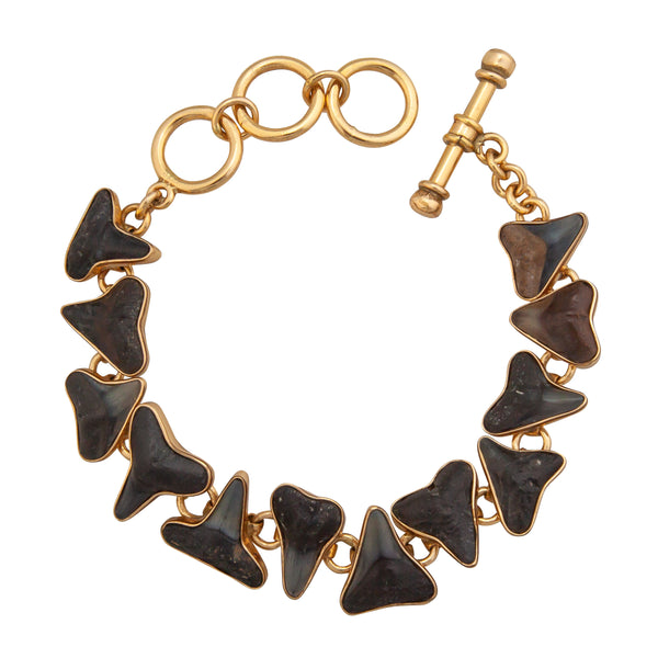 Charles Albert Alchemia Small Fossil Shark Tooth Link Bracelet Alchemia Bracelets + Cuffs