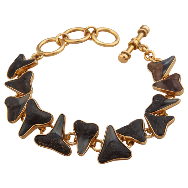 charles albert Alchemia Small Fossil Shark Tooth Link Bracelet Alchemia Bracelets + Cuffs