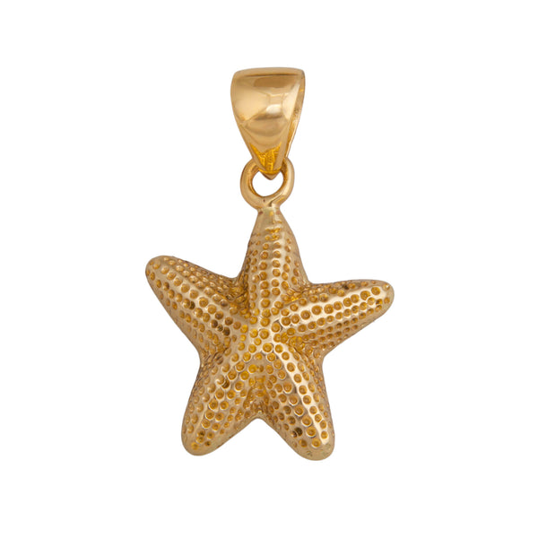 charles albert Alchemia Starfish Pendant Alchemia Pendants