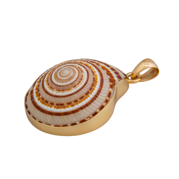Charles Albert Alchemia Sundial Shell Pendant Alchemia Pendants