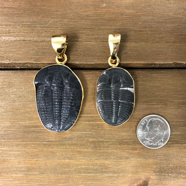 Charles Albert Alchemia Trilobite Pendant Alchemia Pendants