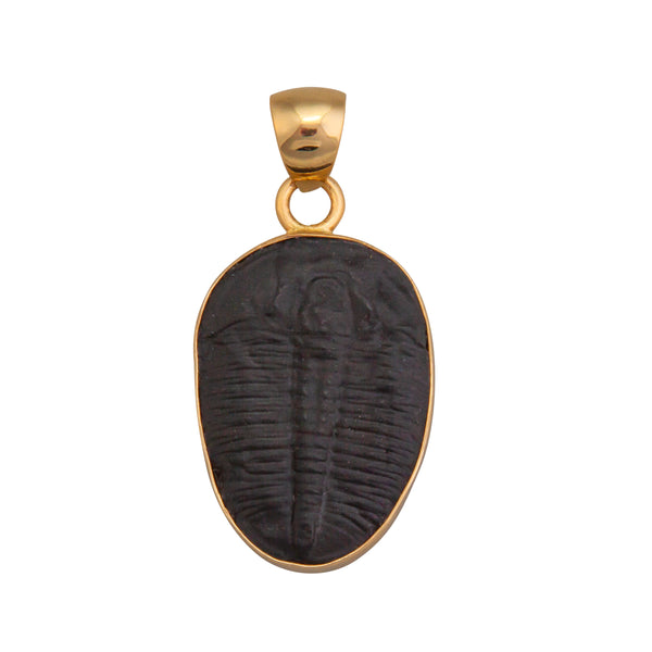 charles albert Alchemia Trilobite Pendant Alchemia Pendants