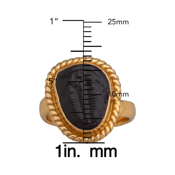 Charles Albert Alchemia Trilobite Rope Adjustable Ring Alchemia Rings