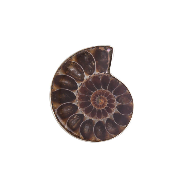 Charles Albert Sterling Silver Ammonite Adjustable Ring Sterling Silver Rings