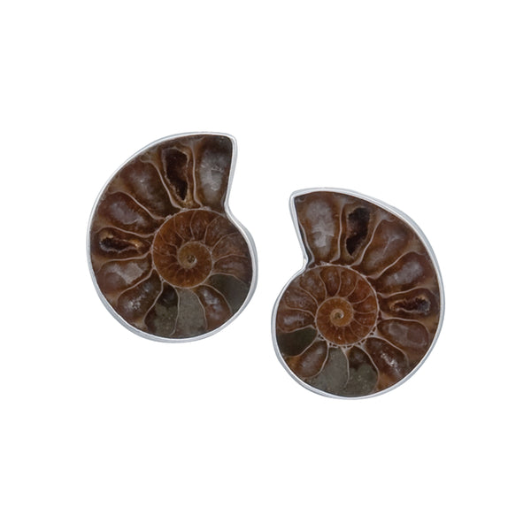 charles albert Sterling Silver Ammonite Clip Earrings Sterling Silver Earrings