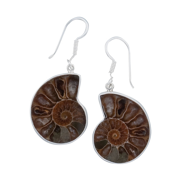 charles albert Sterling Silver Ammonite Drop Earrings Sterling Silver Earrings