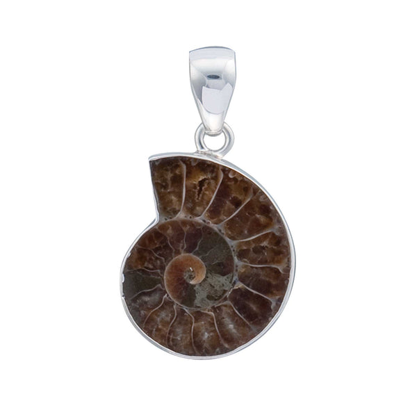charles albert Sterling Silver Ammonite Pendant Sterling Silver Pendants