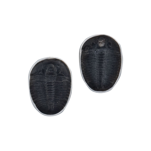 charles albert Sterling Silver Baby Trilobite Post Earrings Sterling Silver Earrings