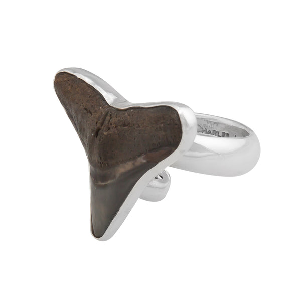 Charles Albert Sterling Silver Fossil Mini Shark Tooth Adjustable Ring Sterling Silver Rings