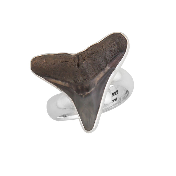 Charles Albert Sterling Silver Fossil Mini Shark Tooth Adjustable Ring Sterling Silver Rings