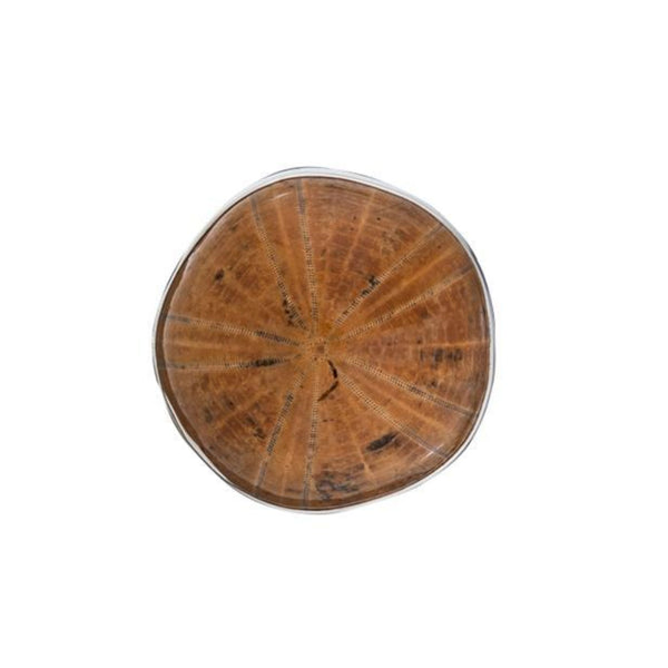 charles albert Sterling Silver Fossil Sand Dollar Adjustable Ring 15% Off - Discontinued Items