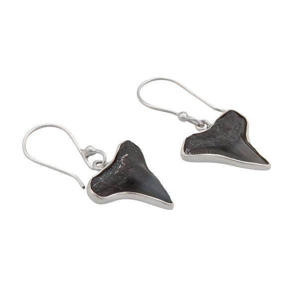 Charles Albert Sterling Silver Fossil Shark Teeth Drop Earrings Sterling Silver Earrings