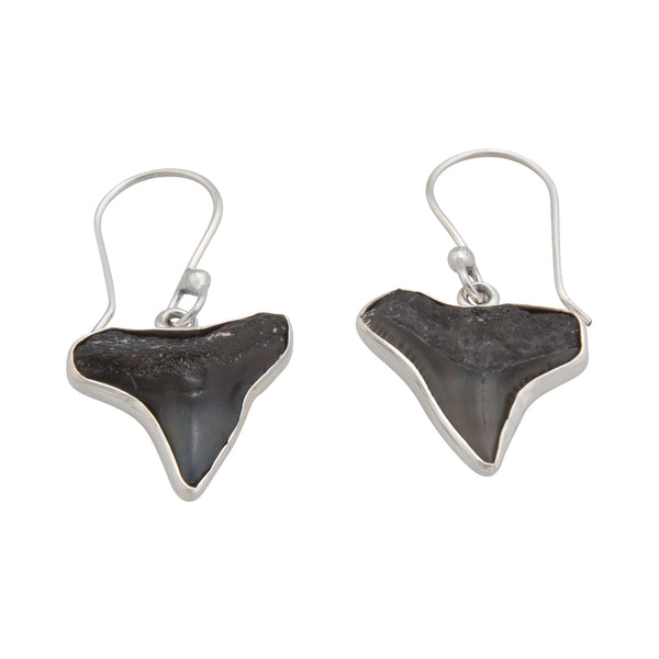 Charles Albert Sterling Silver Fossil Shark Teeth Drop Earrings Sterling Silver Earrings