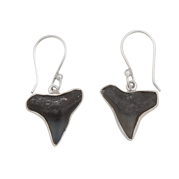 charles albert Sterling Silver Fossil Shark Teeth Drop Earrings Sterling Silver Earrings