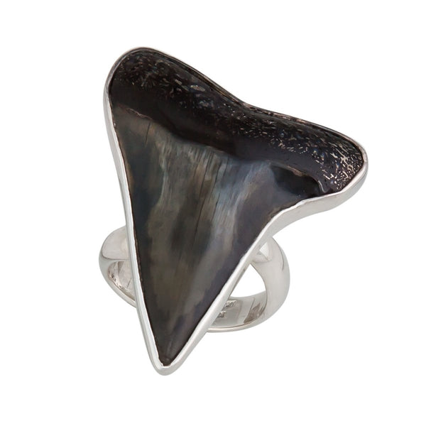 Charles Albert Sterling Silver Fossil Shark Tooth Adjustable Ring Sterling Silver Rings