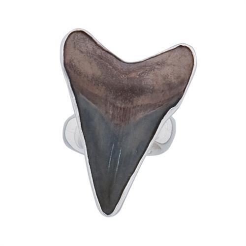 Charles Albert Sterling Silver Fossil Shark Tooth Adjustable Ring Sterling Silver Rings