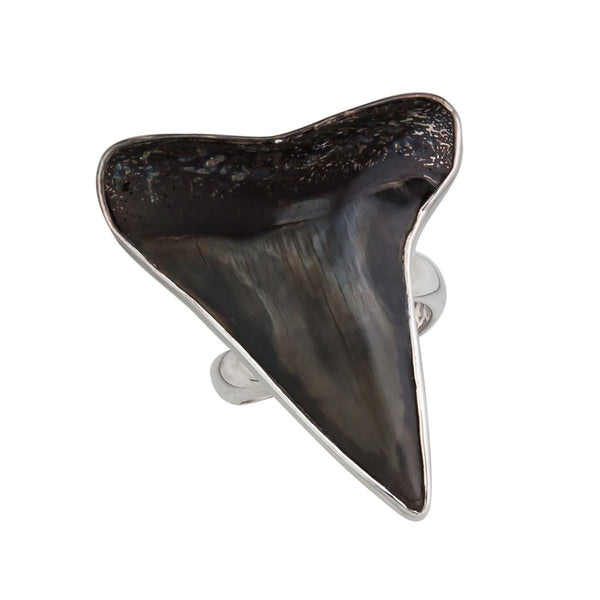 charles albert Sterling Silver Fossil Shark Tooth Adjustable Ring Sterling Silver Rings