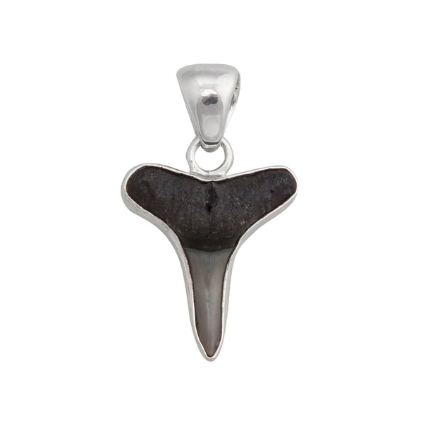 Charles Albert Sterling Silver Mini Shark Tooth Pendant Sterling Silver Pendants