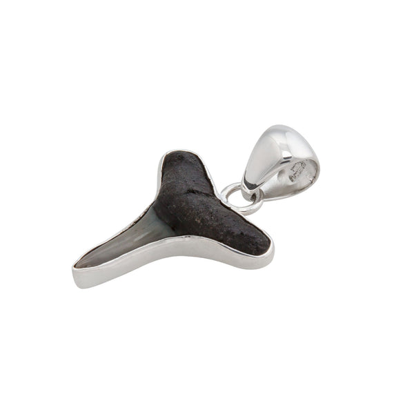 Charles Albert Sterling Silver Mini Shark Tooth Pendant Sterling Silver Pendants