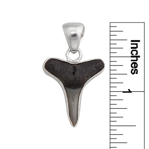 Charles Albert Sterling Silver Mini Shark Tooth Pendant Sterling Silver Pendants