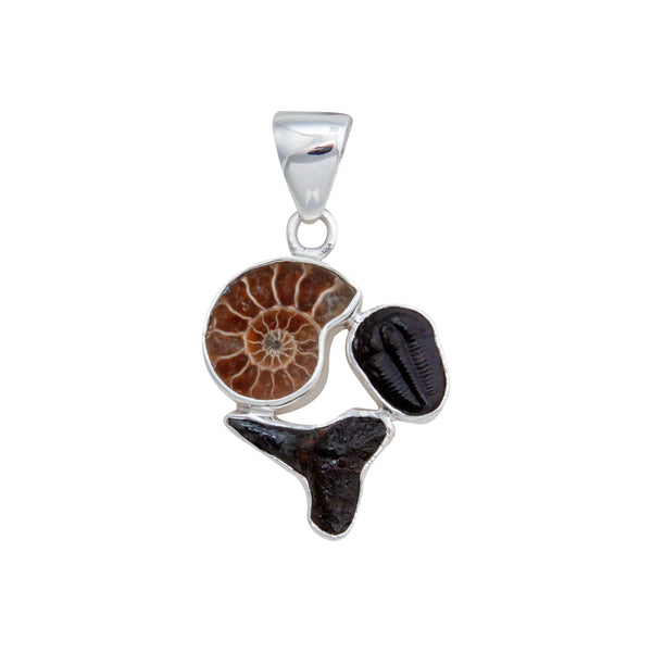 charles albert Sterling Silver Multi-Fossil Pendant Sterling Silver Pendants