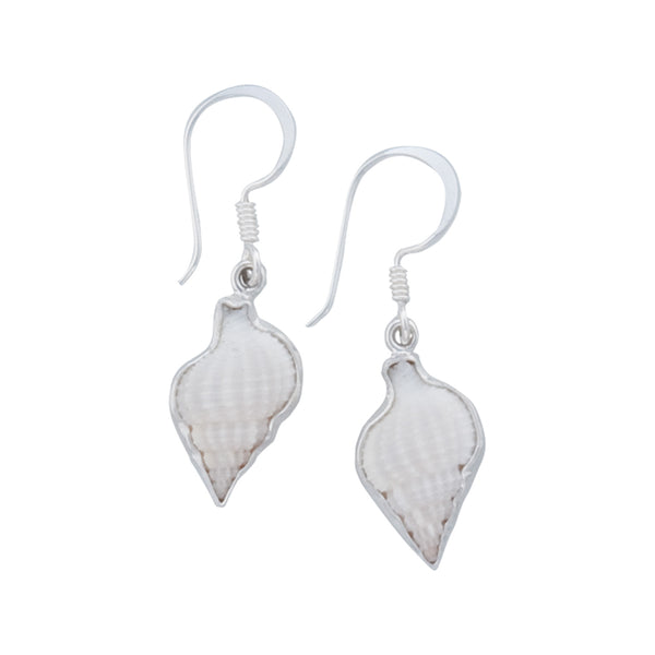 charles albert Sterling Silver Nassa Clothrata Shell Drop Earrings Sterling Silver Earrings