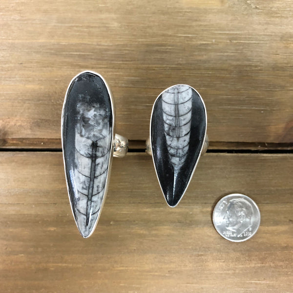 Charles Albert Sterling Silver Orthoceras Adjustable Ring Sterling Silver Rings