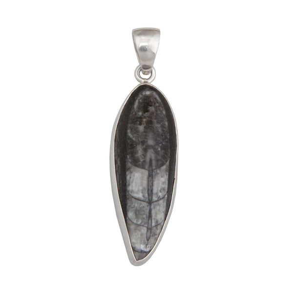 Charles Albert Sterling Silver Orthoceras Pendant Sterling Silver Pendants