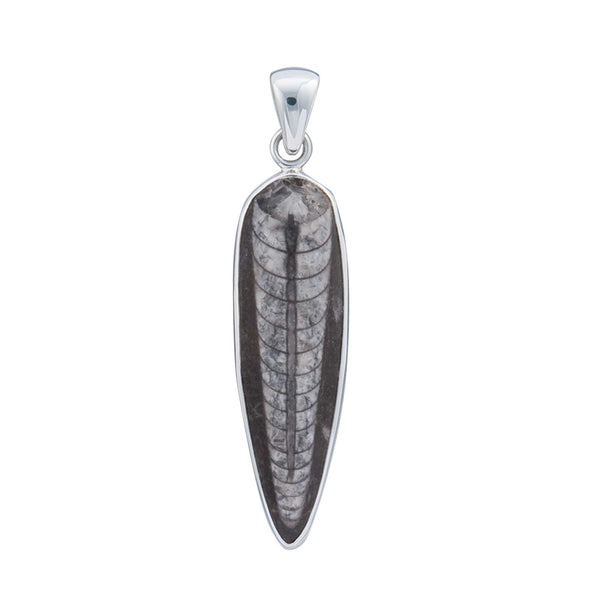 charles albert Sterling Silver Orthoceras Pendant Sterling Silver Pendants