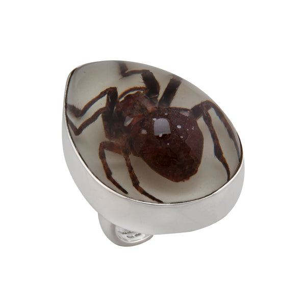 Charles Albert Sterling Silver Recluse Brown Spider Glow In The Dark Adjustable Ring Sterling Silver Rings