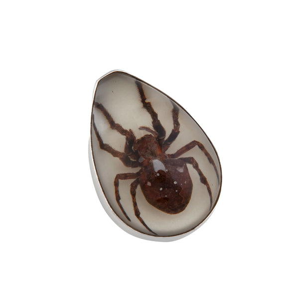 Charles Albert Sterling Silver Recluse Brown Spider Glow In The Dark Adjustable Ring Sterling Silver Rings