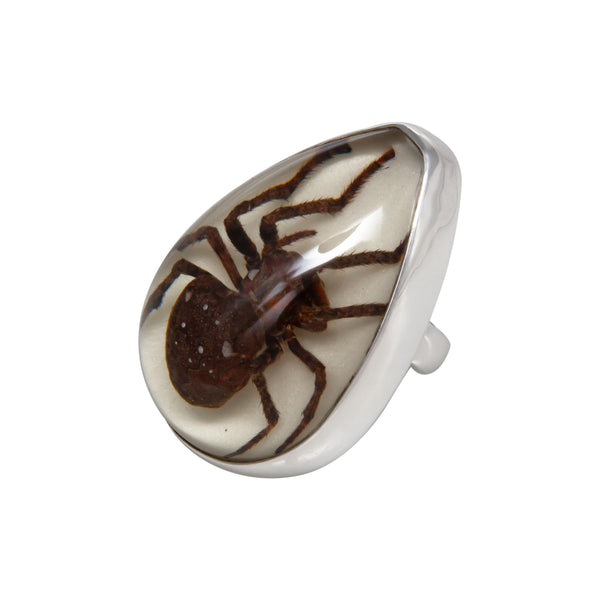charles albert Sterling Silver Recluse Brown Spider Glow in the Dark Adjustable Ring Sterling Silver Rings