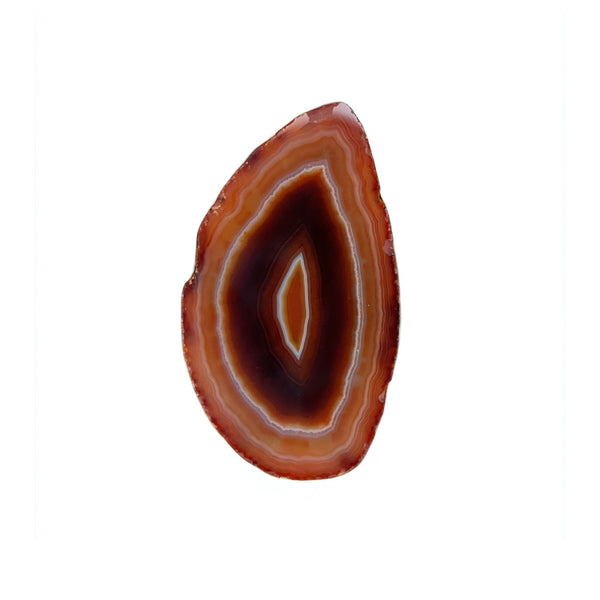 Charles Albert Sterling Silver Rust Agate Slice Adjustable Ring 30% Off - Discontinued Items