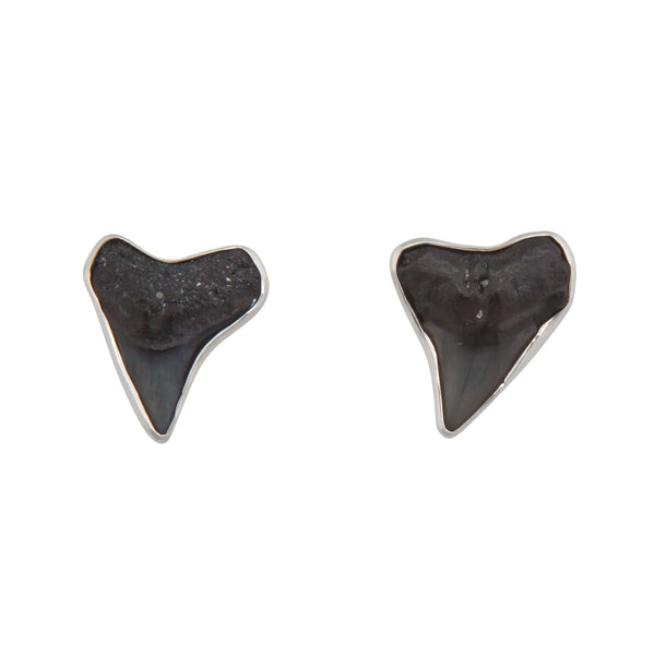 Charles Albert Sterling Silver Shark Teeth Post Earrings Sterling Silver Earrings