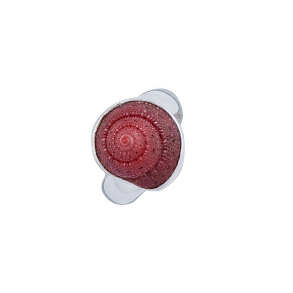 charles albert Sterling Silver Strawberry Top Shell Adjustable Ring Sterling Silver Rings