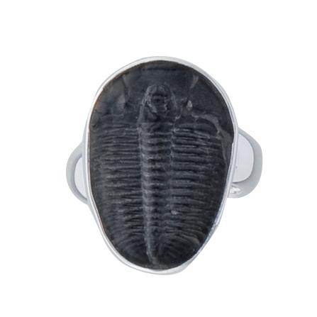 Charles Albert Sterling Silver Trilobite Adjustable Ring Sterling Silver Rings