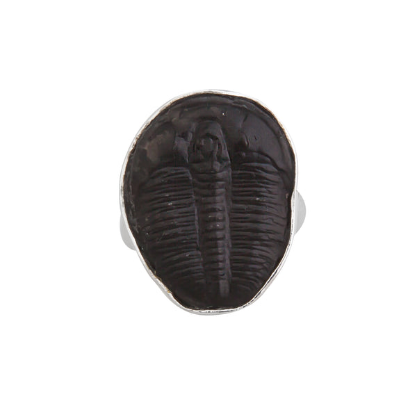 Charles Albert Sterling Silver Trilobite Adjustable Ring Sterling Silver Rings