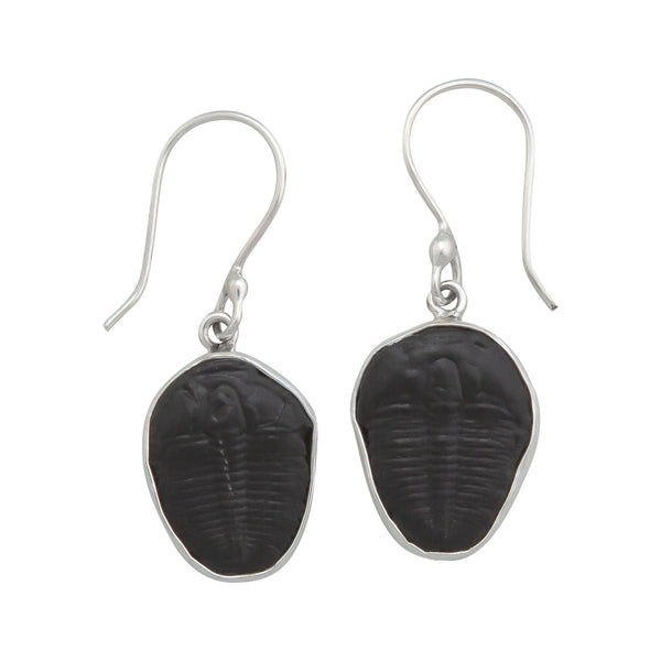 charles albert Sterling Silver Trilobite Drop Earrings Sterling Silver Earrings