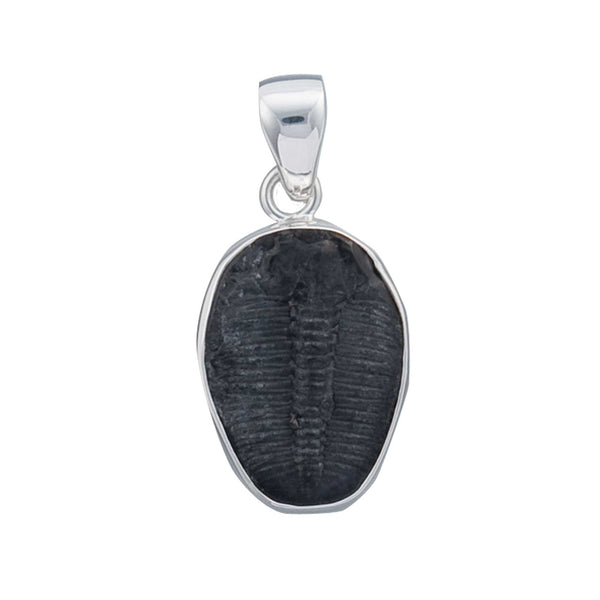 Charles Albert Sterling Silver Trilobite Pendant Sterling Silver Pendants