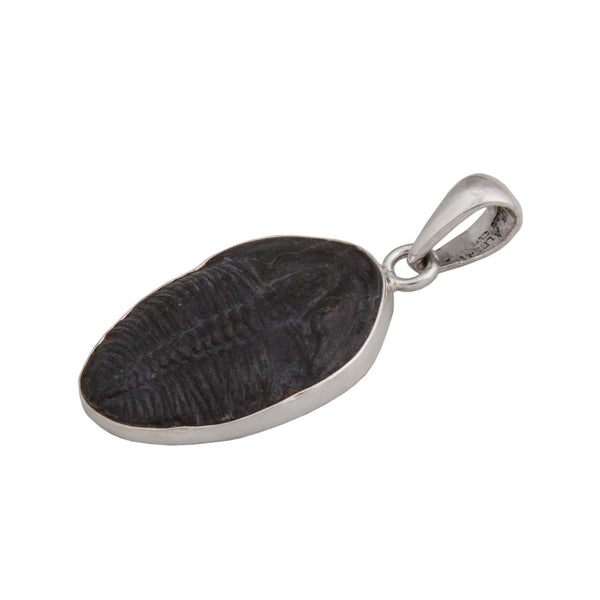 Charles Albert Sterling Silver Trilobite Pendant Sterling Silver Pendants